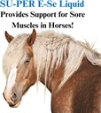 su-per-e-se-horses-antioxidant-supplemen-3.jpg