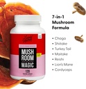 lively-vitamin-co-mushroom-magic---chaga-6.jpg