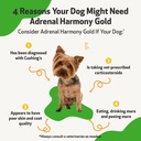 pet-wellbeing-adrenal-care-kit-for-dogs--3.jpg