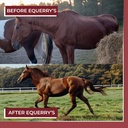 equerrys-choice-horse-pellets---complete-6.jpg