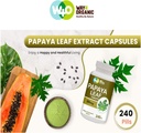 papaya-leaf-extract-capsules-tablets---5-3.jpg