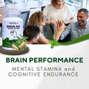 bricker-labs-brain-aid-memory-matters-no-4.jpg