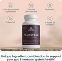 ancient-nutrition-colostrum-superfood-co-4.jpg