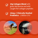 garden-of-life-collagen-bundle-grass-fed-4.jpg