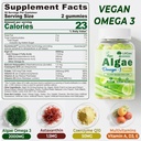 omega-3-gummies-2200mg-from-algae-oil-dh-2.jpg