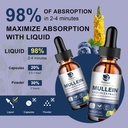 mullein-drops-for-lungs-lung-detox-clean-4.jpg