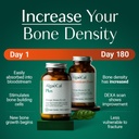 algaecal---bone-builder-pack-for-bone-de-2.jpg