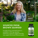 swanson-maximum-strength-fucoidan-extrac-6.jpg