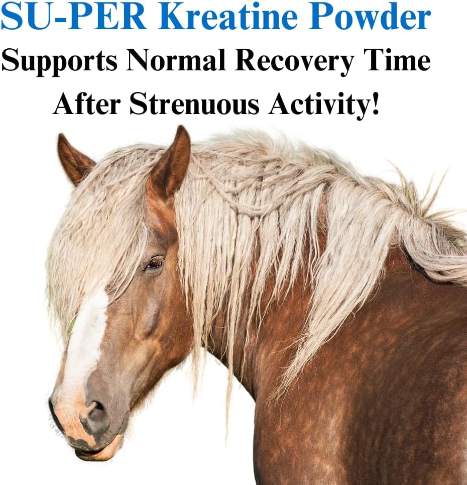 su-per-kreatine-energy-horse-supplement--3.jpg