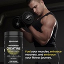 upnourish-micronized-creatine-monohydrat-6.jpg