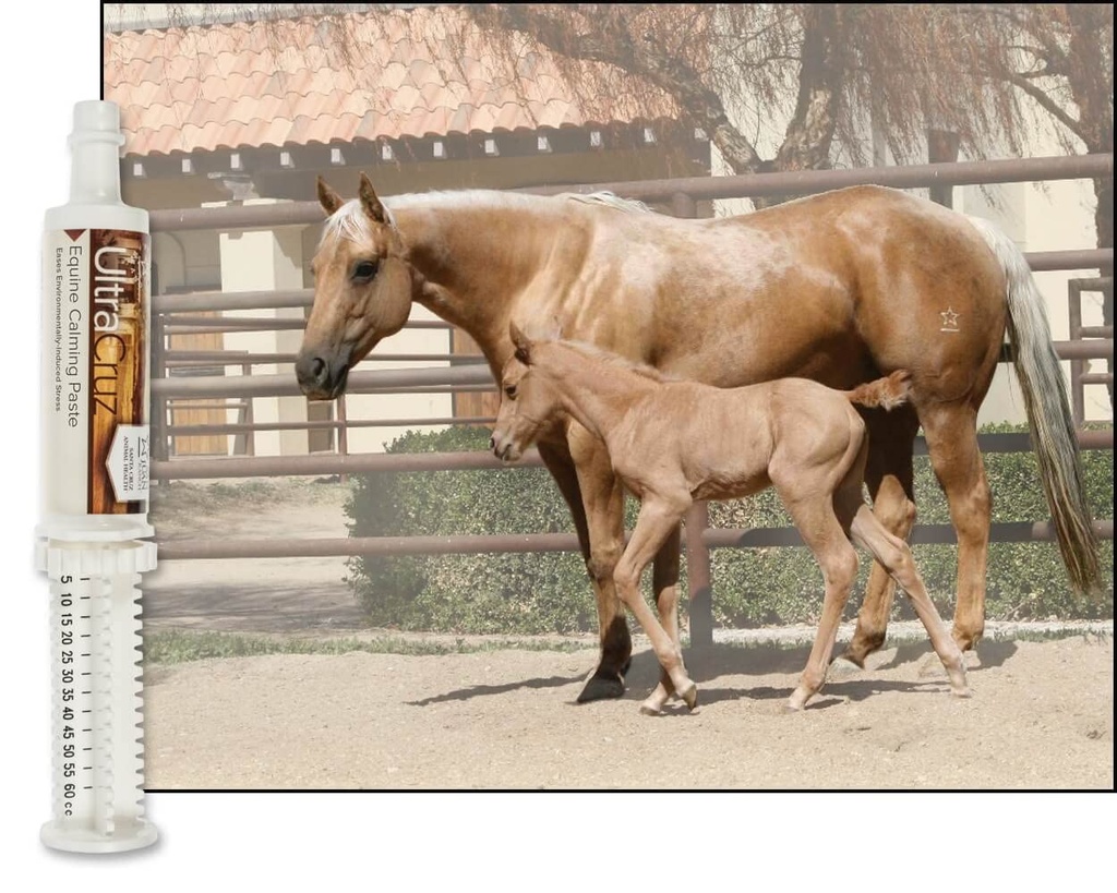 ultracruz-equine-calming-paste-60-ml-4.jpg