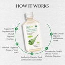 aloecure-organic-aloe-vera-juice---4-bot-4.jpg