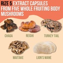 rize-5-mushroom-supplement---lions-mane--6.jpg