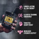 alpha-lion-core-pre-workout-with-creatin-3.jpg