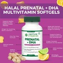 halal-prenatal-vitamins-dha-folic-acid-i-4.jpg