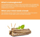 veru-wellness-ashwagandha-patch---stress-4.jpg