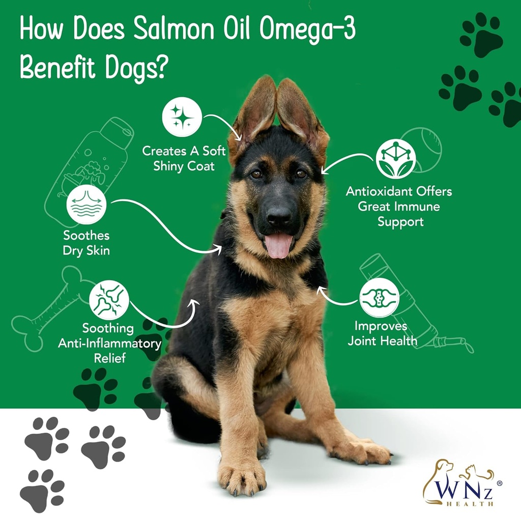 omega-3-skin-and-coat-chews-for-dogs-dog-4.jpg