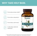 himalaya-holy-basil---herbal-adrenal-sup-4.jpg