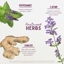 wishgarden-herbs-digestive-rescue-for-ki-4.jpg