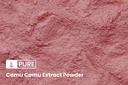 pure-original-ingredients-camu-camu-1lb--3.jpg