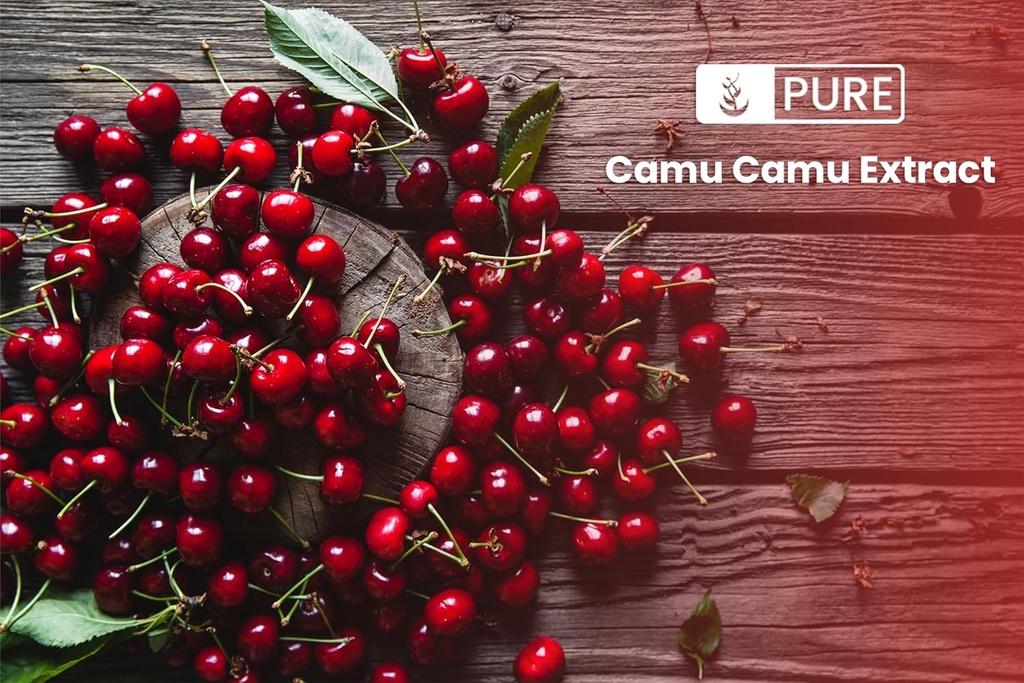 pure-original-ingredients-camu-camu-1lb--4.jpg