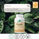 provita-prostate-complex-prostate-health-2.jpg