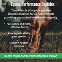 equine-performance-peptides-horse-peptid-5.jpg