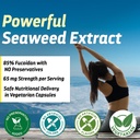fucoidan-65mg-with-brown-seaweed-extract-5.jpg