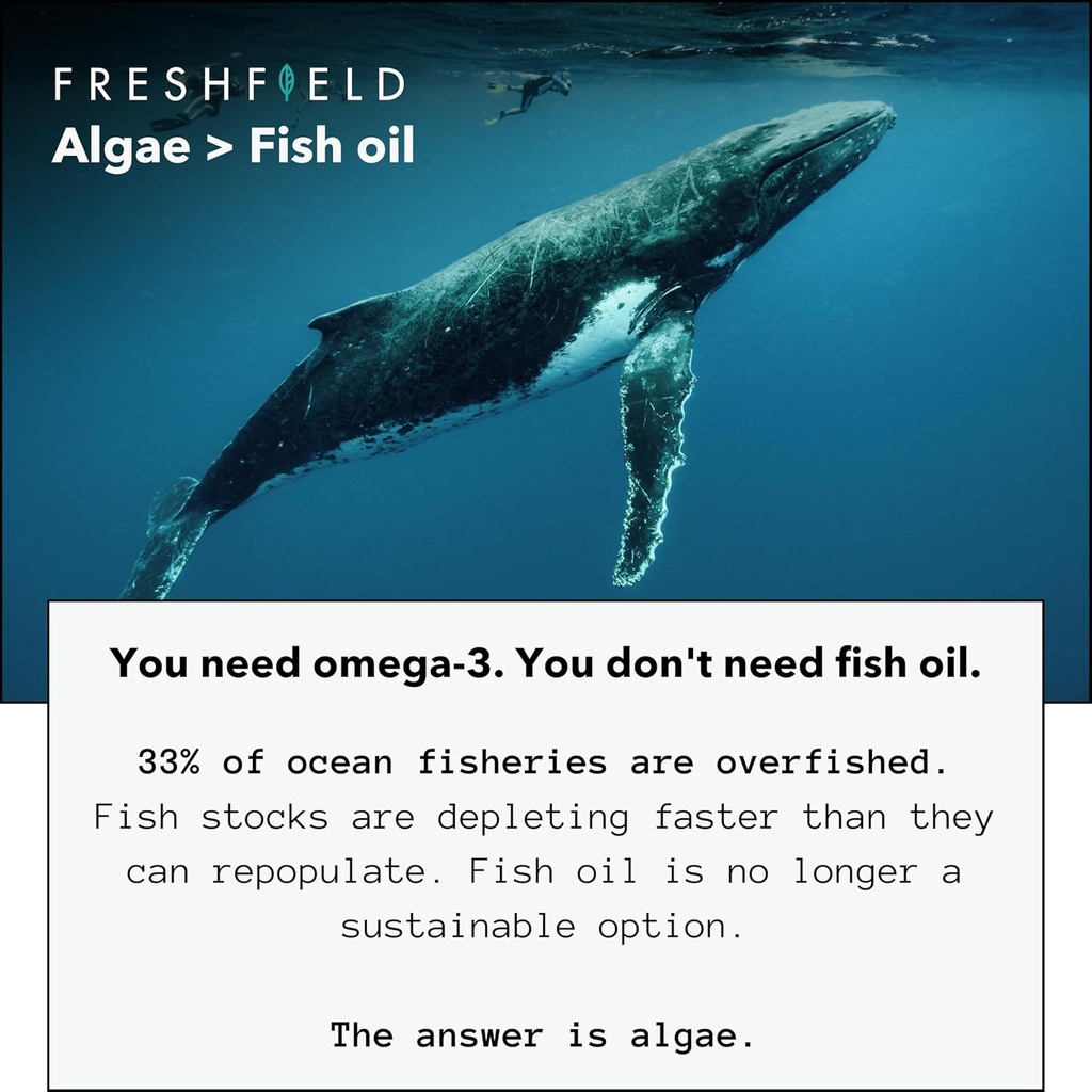 ocean-saving-omega-algae-omega-3-dha-sup-4.jpg