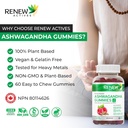 renew-actives-ashwagandha-100mg-per-4-gu-3.jpg