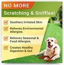 vet-strength-probiotics-allergy-relief-f-6.jpg