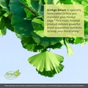 irwin-naturals-ginkgo-smart-powerful-noo-3.jpg