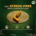 zandu-ashwagandha-gold-plus-made-with-go-5.jpg