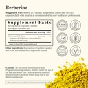 berberine-supplement---berberine-hcl-120-6.jpg