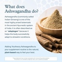 youtheory-ashwagandha-liquid---uses-orga-4.jpg