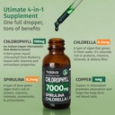 4-pack-4-in-1-vegan-chlorophyll-liquid-d-4.jpg