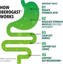 iberogast-softgels-herbal-relief-of-stom-3.jpg