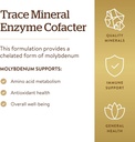 solgar-chelated-molybdenum-100-tablets-5.jpg