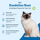 pet-wellbeing-dandelion-root-for-cats----3.jpg