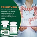 tributyrin-supplement---butyrate-precurs-4.jpg