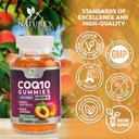 coq10-gummies-100mg---3x-strength-high-a-4.jpg