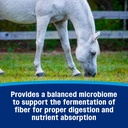 farnam-hindgut-stabilizer-pellets-daily--4.jpg
