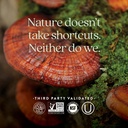 new-chapter-reishi-mushroom---lifeshield-5.jpg