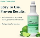 natures-sunshine-liquid-chlorophyll---im-5.jpg