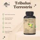 tribulus-terrestris-supplement-for-men-w-4.jpg