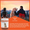 natural-antibiotics-for-dogs-dog-antibio-5.jpg