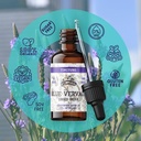 blue-vervain-herb-organic-extract-organi-3.jpg
