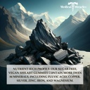 medical-miracles-shilajit-gummies---1000-6.jpg