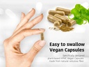 dr-wakdes-coriander-seed-capsules-60-veg-4.jpg
