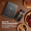 energy---mushroom-supplement---cordyceps-5.jpg